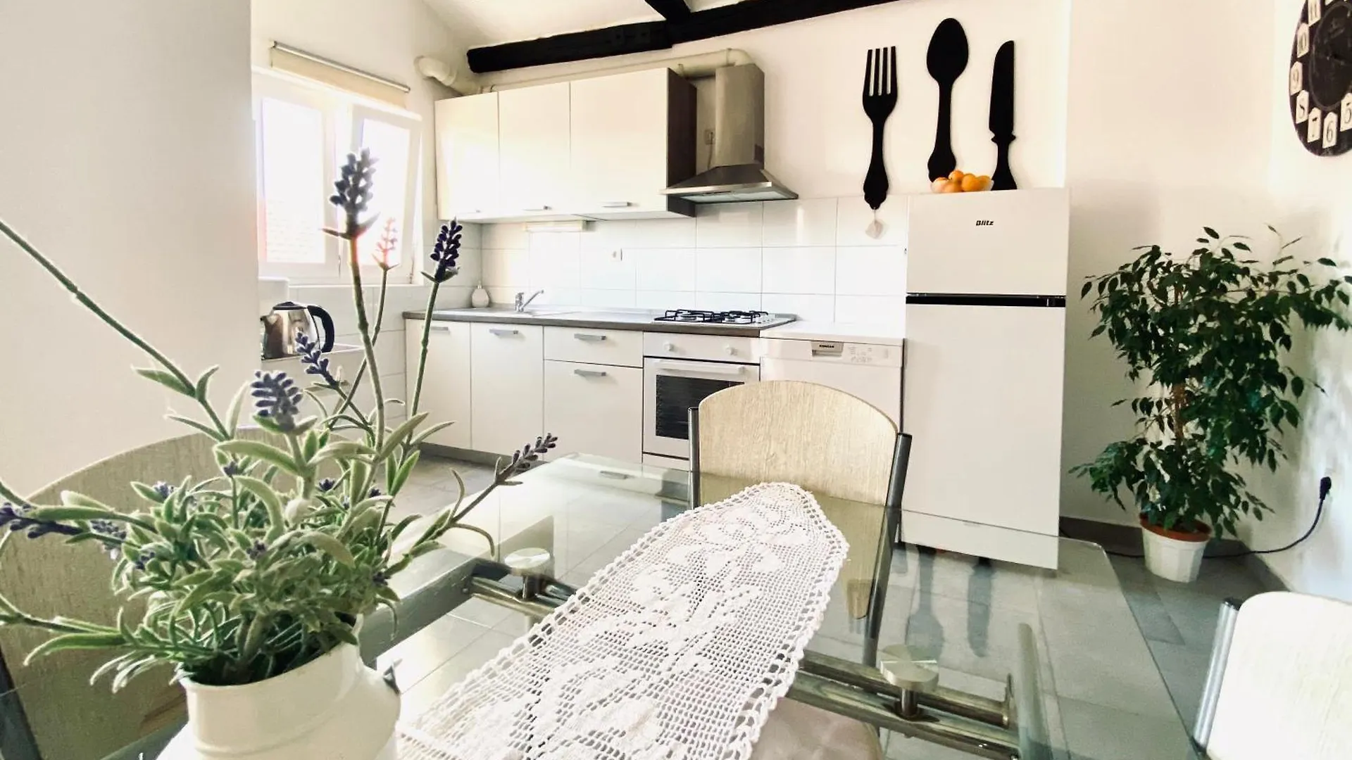 Luna Maris Apartment Zadar Croatia